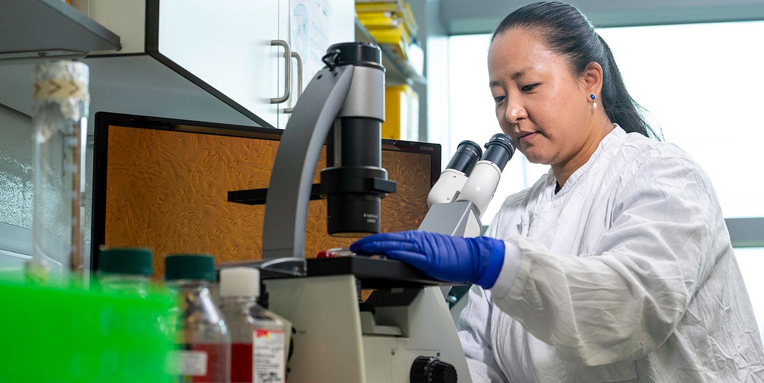 Scientist in white lab coat and purple gloves about to look down a microscope. Behind the microscope is a computer screen showing the cells in the microscope.