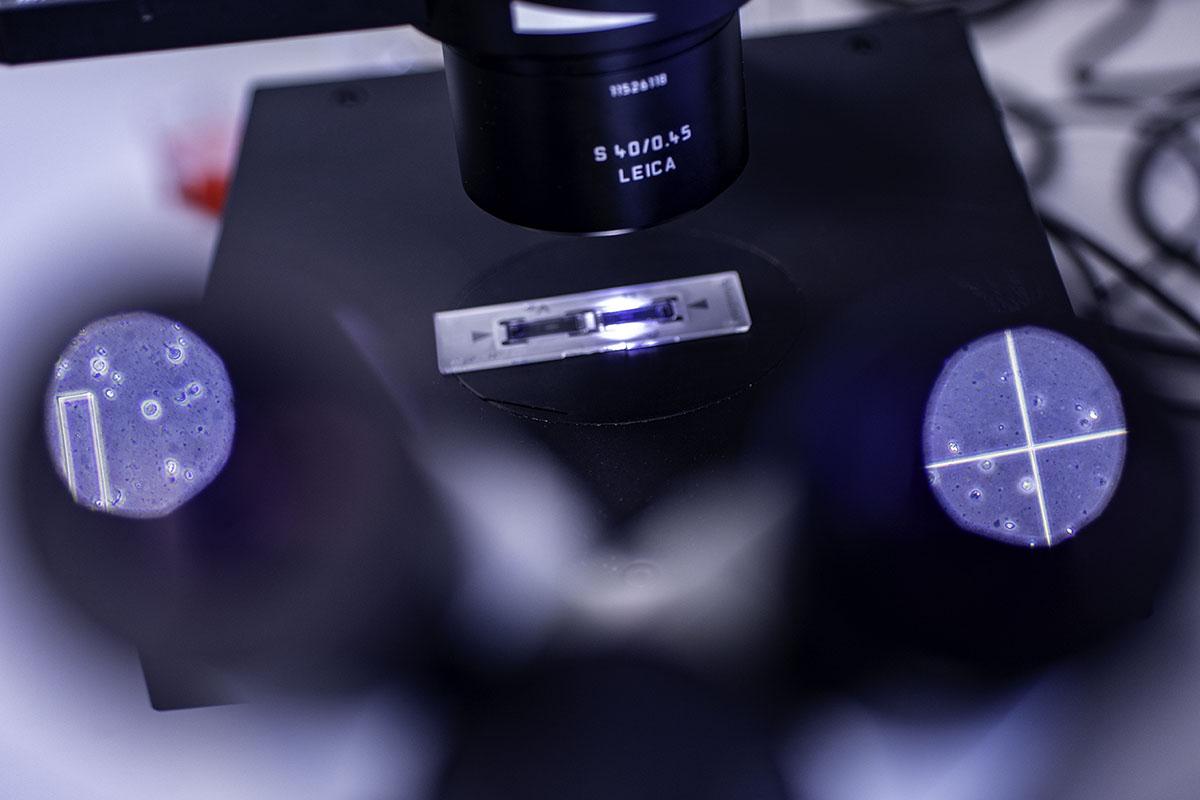 Looking down the lenses of a Leica microscope. Blue circles with white crosses and cells can be seen