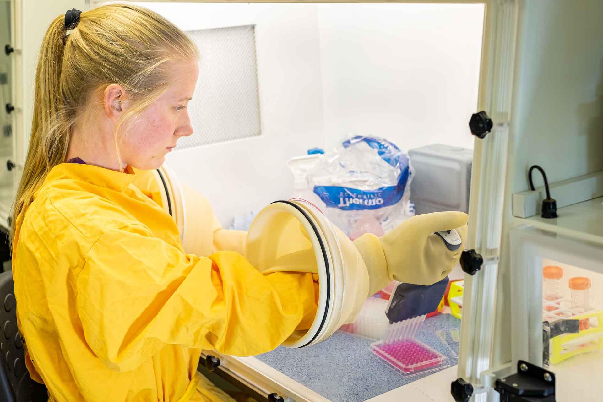 Scientist in full ppe including yellow overalls. They have gloved hands in a secure cabinet and are pipetting