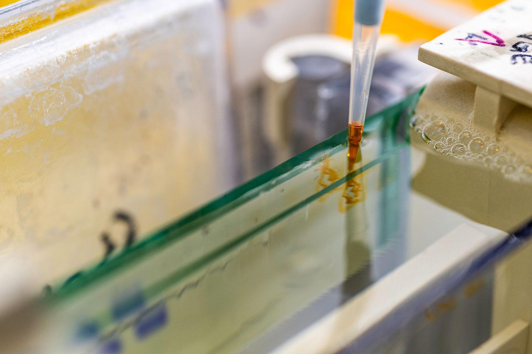 Close up of pipette tip with orange liquid going into gel well