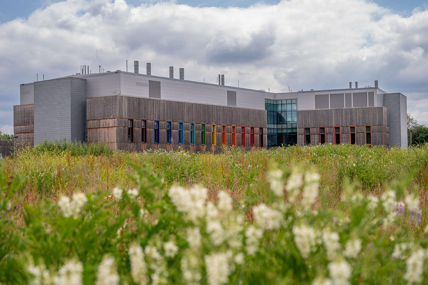 Pirbight's Plowright building from afar with wild plants in front