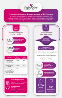 Impact Infographic