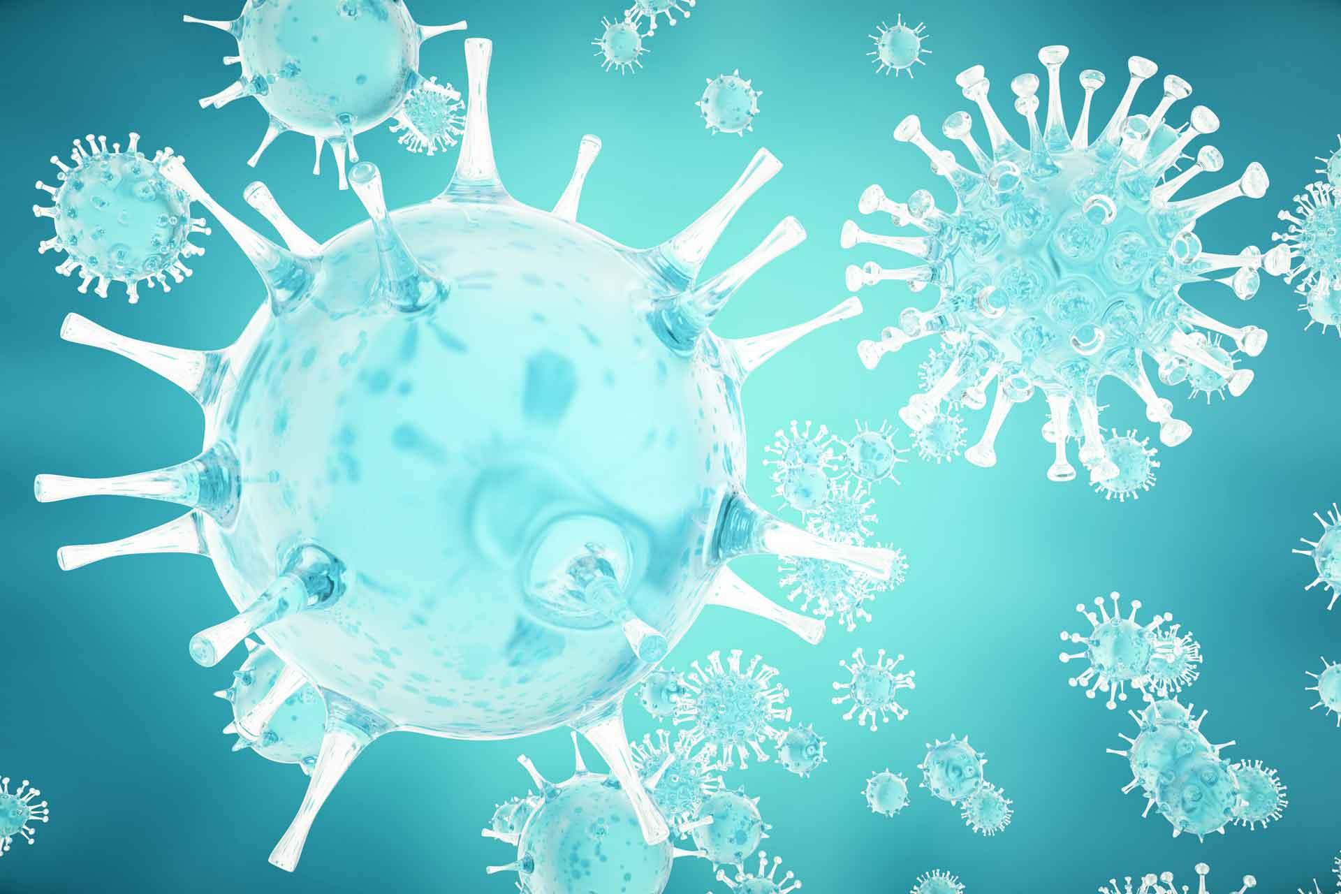 cold virus