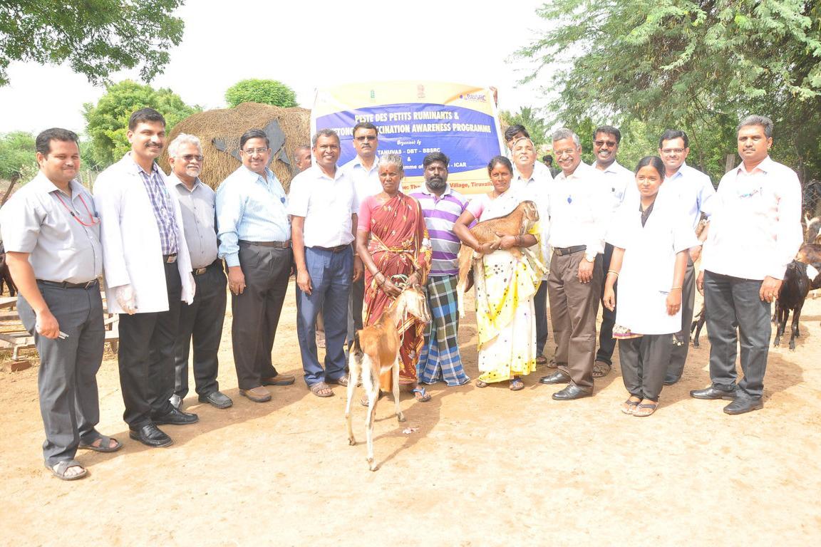 Peste-des-petits ruminants vaccine differentiation group from Pirbright in Chennai, India