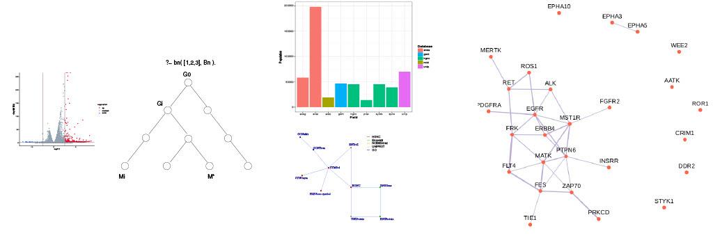 A collection of graphs