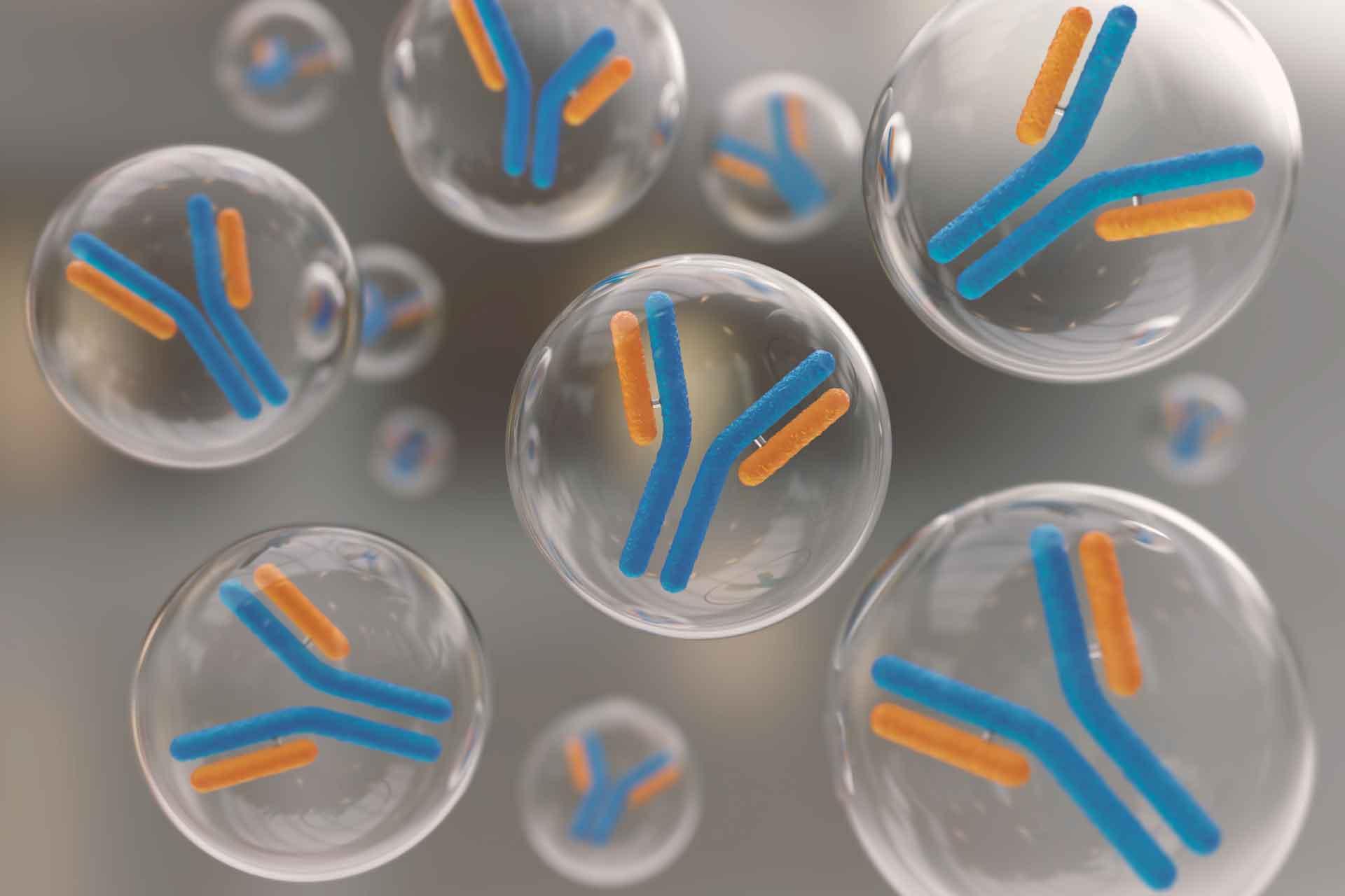 Antibodies trapped in floating bubbles