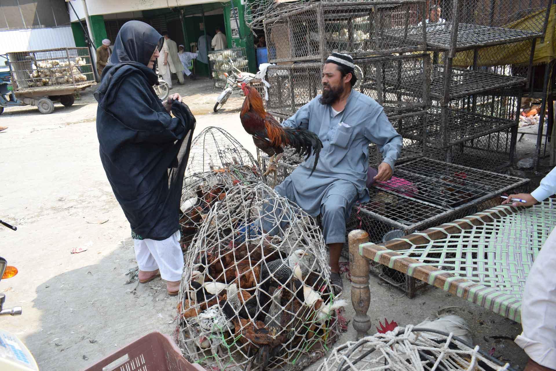 Trading poultry in a pakistani village