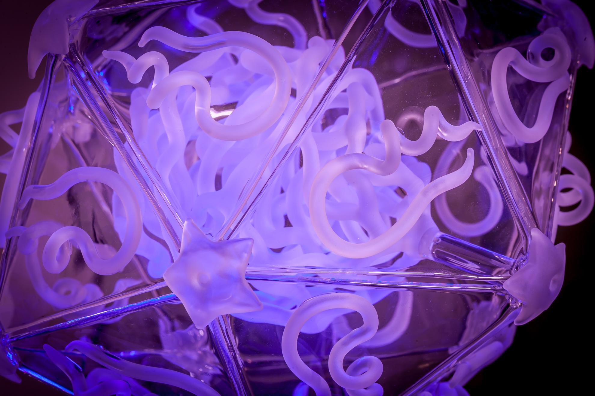 Glass model of foot-and-mouth-disease virus (FMDV), lit in purple