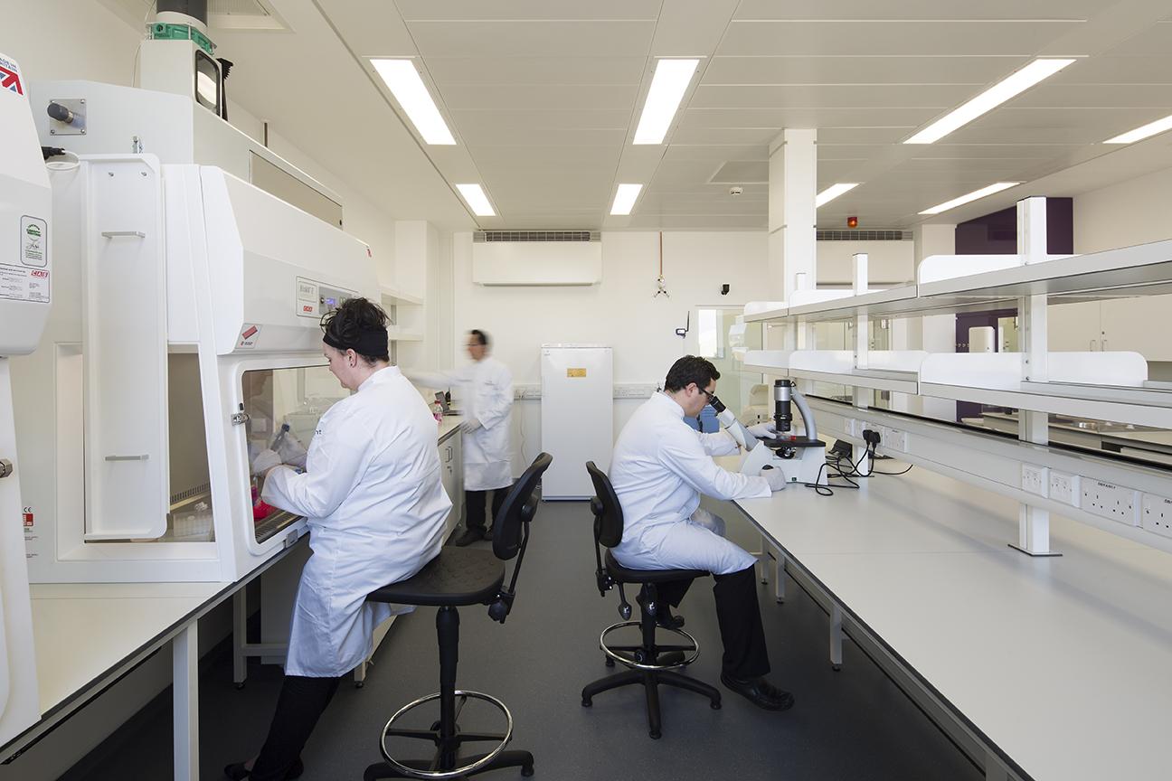 Three scientists in lab coats in a lab all doing different things. One is working under a fume hood. One is sat looking into a microscope and the third one is walking