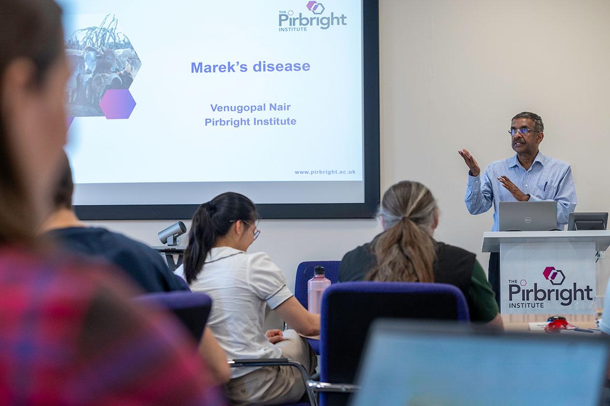 Person behind lecturn in front of a screen that has opening slide of a Marek's disease presentation. In the foreground are two people sat looking at the screen